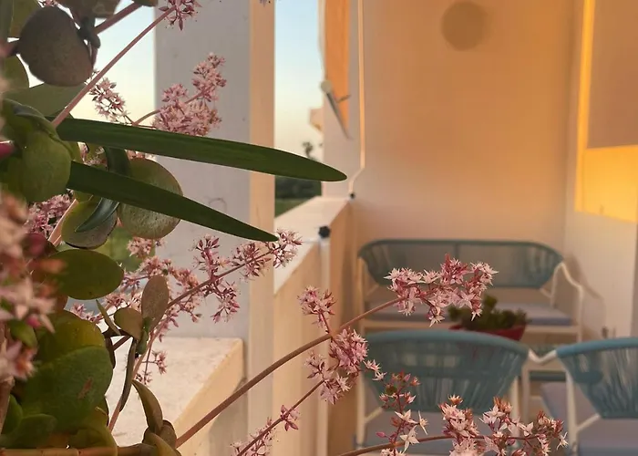 Seashell Guest House